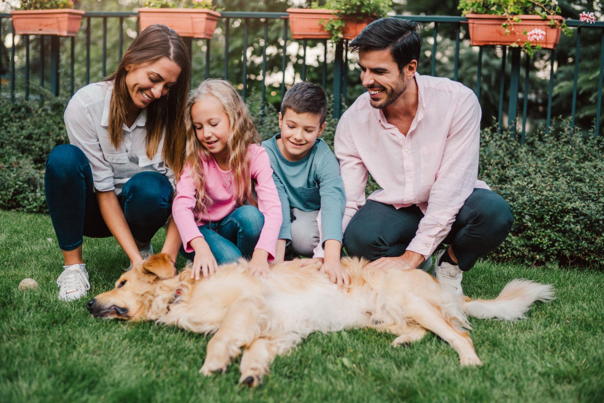5 Reasons Regular Pet Waste Removal Keeps Your Family Healthier